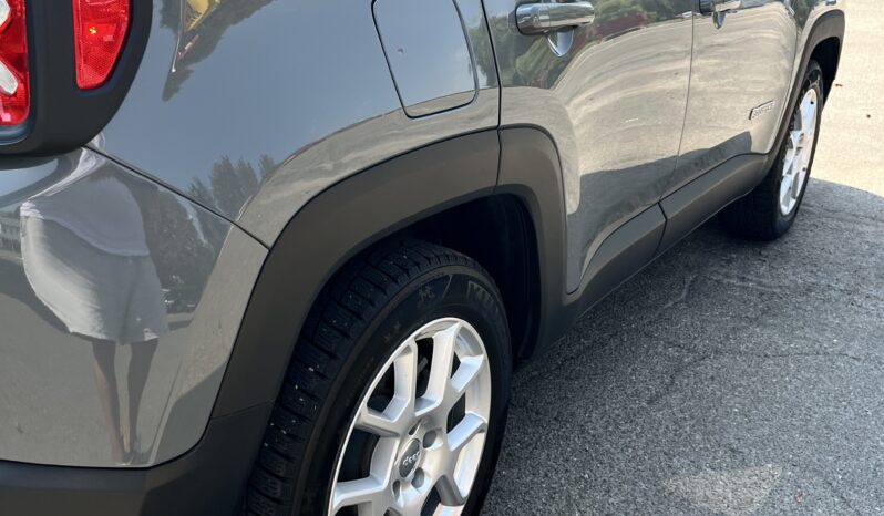 Jeep Renegade 2019 2.4 АТ (184 к.с.)  •  Latitude full
