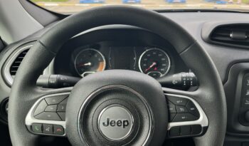 Jeep Renegade 2020 I покоління (FL)/BU  •  2.4 АТ (184 к.с.) AWD  •  Sport full